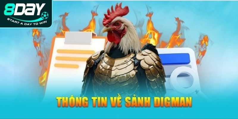 Những hình thức cược chọi kê ăn khách