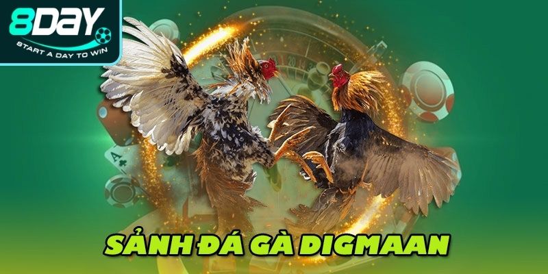 Quy định chi tiết khi tham gia sảnh đá gà