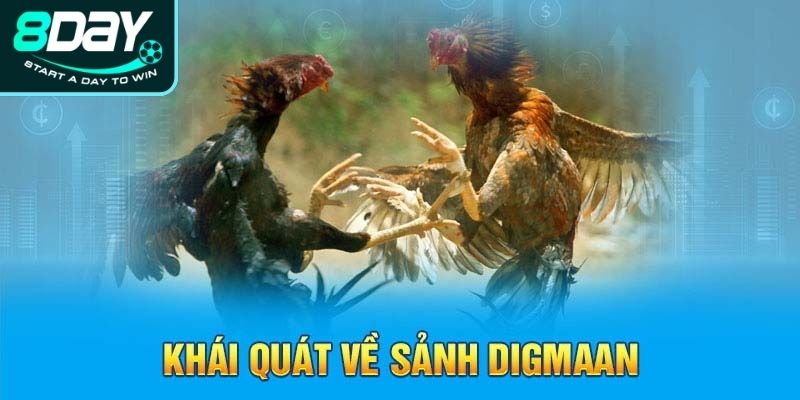 Tổng quan về sảnh Digmaan