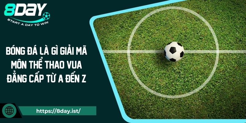 Bóng Đá Là Gì Giải Mã Môn Thể Thao Vua Đẳng Cấp Từ A Đến Z